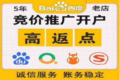 竞价广告在XX行业的成功应用案例